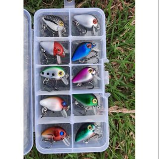 COMBO 10 MỒI RUỒI CÂU LURE RÔ PHI, RÔ TA, LÓC, SỘP...