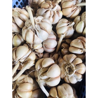 TỎI CỦ ĐẸP 1KG