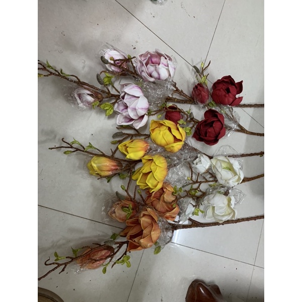 Hoa mộc lan thơm cao cấp