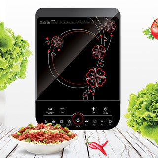 Bếp từ đơn Sato STB-801 (STB801)