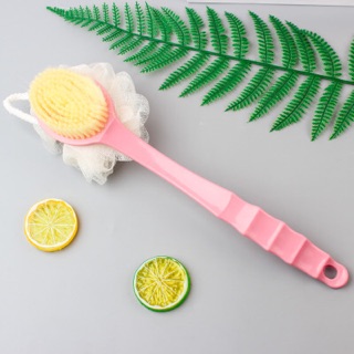 Cây Cọ kì lưng 2in1