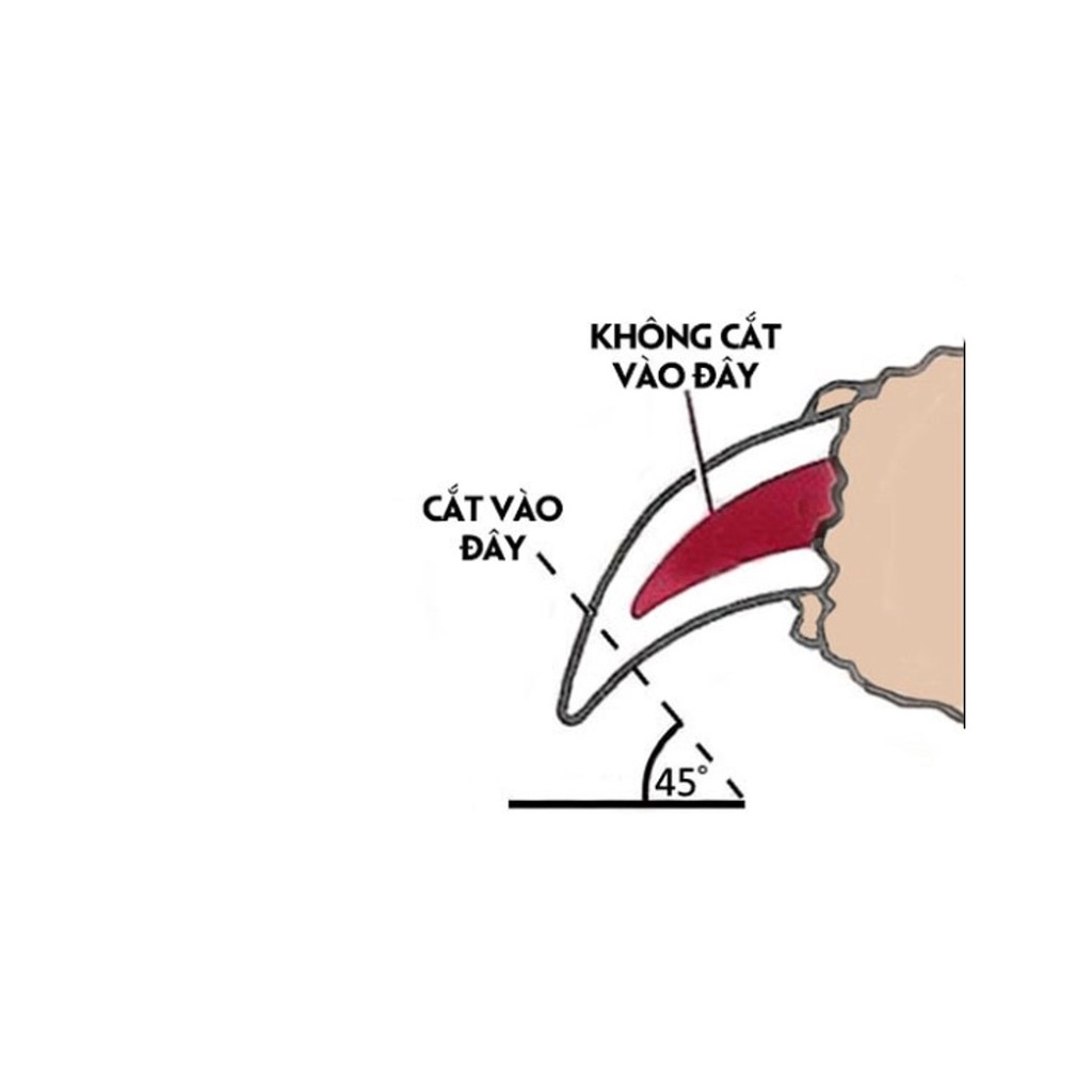 Kéo/Kềm Cắt Móng Cho Chó Mèo Taotaopet - Có Kèm Dũa