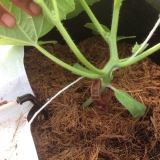 100 CÁI KẸP THÂN CỐ ĐỊNH DÂY.