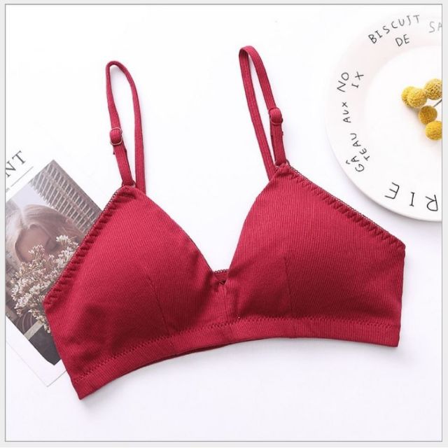 Bra bigsize sẵn đệm 50-65KG