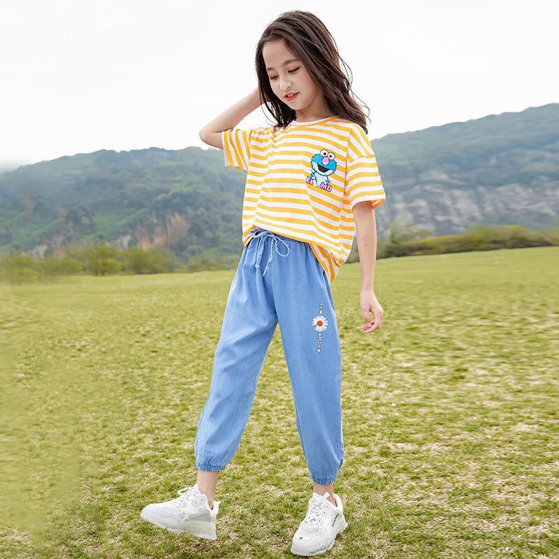 Áo thun ngắn tay bé gái chất cotton cao cấp full size cho trẻ em Beeshop H21024