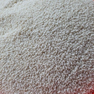 Gạo nếp trắng thơm ngon 1kg