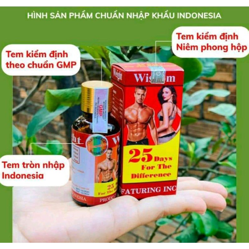Tăng Cân Wisdom Weight Indonesia, vitamin hỗ trợ tăng 3-5kg tự nhiên, không sụt cân