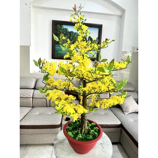 CHẬU HOA MAI GIẢ CAO 1M2-CHẬU HOA MAI VÀNG TRANG TRÍ TẾT