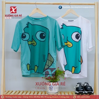 SET CARTON VỊT PERRY