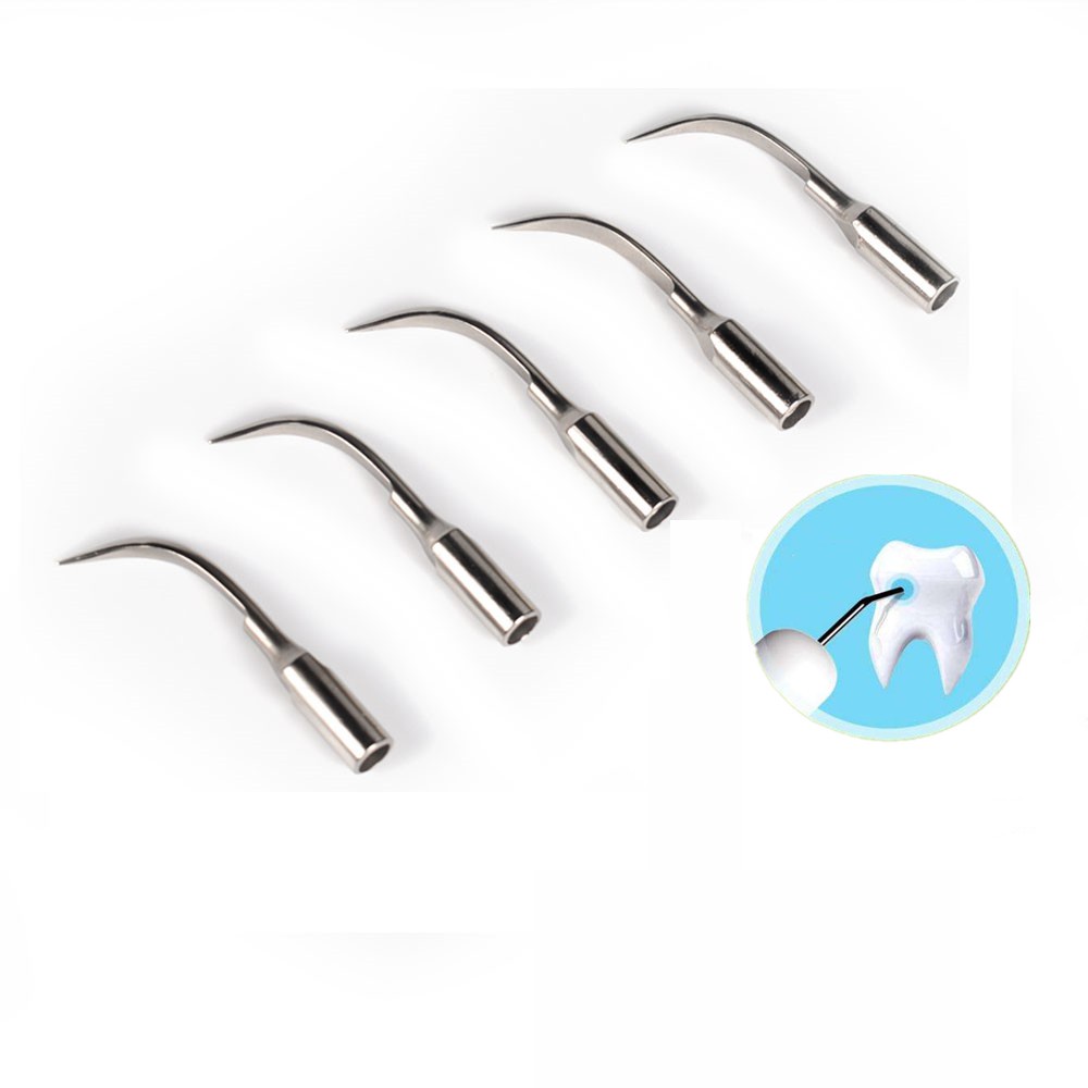 Bộ 5 đầu gõ gắn máy vệ sinh chăm sóc răng miệng thay thế sử dụng một lần