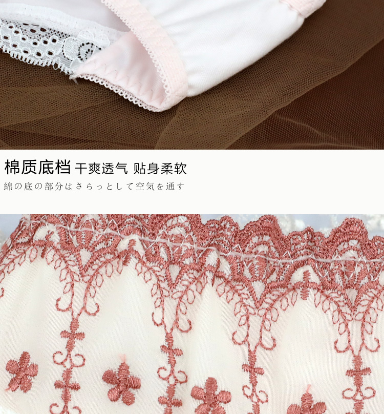 Quần Lót Cotton Trong Suốt Thêu Họa Tiết Xinh Xắn Theo Phong Cách Retro Dành Cho Nữ