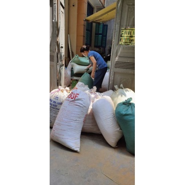 1kg vụn gỗ bách .Xanh thơm