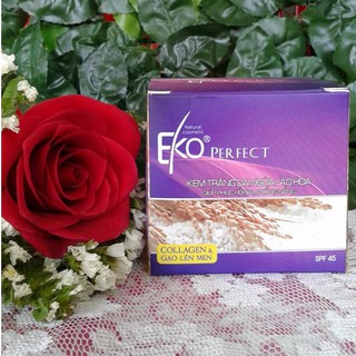 Kem trắng da, ngừa lão hóa, giúp phục hồi da, chống nắng EKO PERFECT 9g/15g/30g/50g