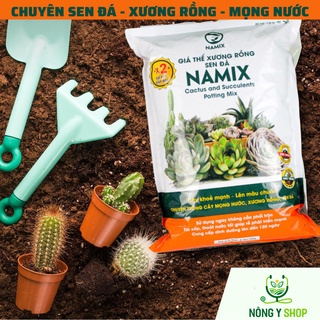 Đất trồng sen đá Namix túi 5dm3, giá thể trồng nha đam xương rồng