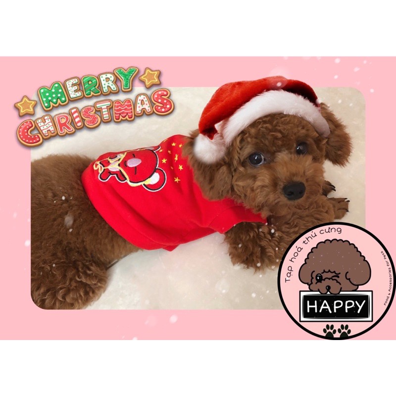 Áo nỉ thêu hình gấu kèm nón rời lót bông [Ảnh thật] [Có sẵn]