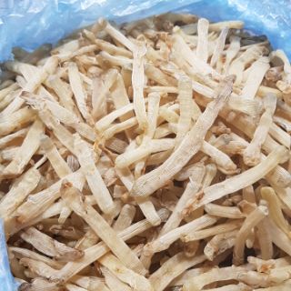 SÁ SÙNG LOẠI 1
