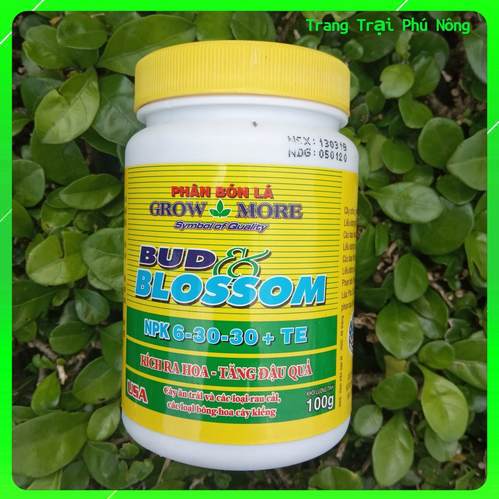 Phân Bón Lá Growmore Bud & Blossom NPK 6-30-30 +TE Kích Ra Hoa, Tăng Đậu Quả - Lọ 100g