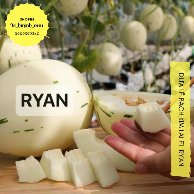 Gói 10 Hạt giống dưa lê Hàn Bạch Kim Ryan F1 giống nhập Hàn siêu ngon ngọt, giòn tan, dễ trồng và đẹp mắt