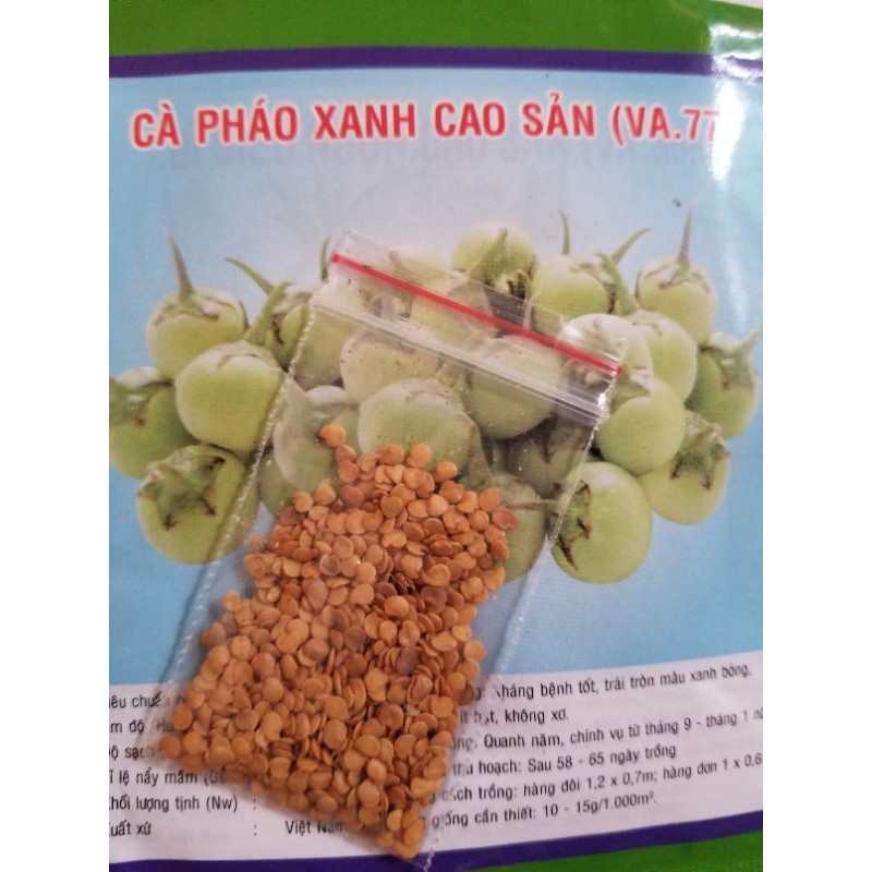 hạt giống cà pháo xanh cao sản 2gr