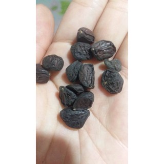 Combo 50g dổi 200g mắc khén rừng Sơn La