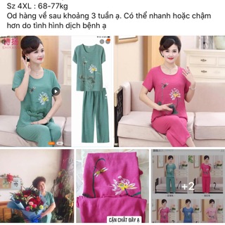 Trả order bộ đũi mẹ