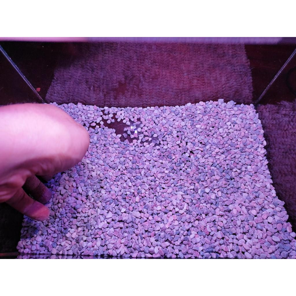Sỏi 3 Màu, sỏi núi lửa,sỏi trắng,gốm đỏ dải nền.