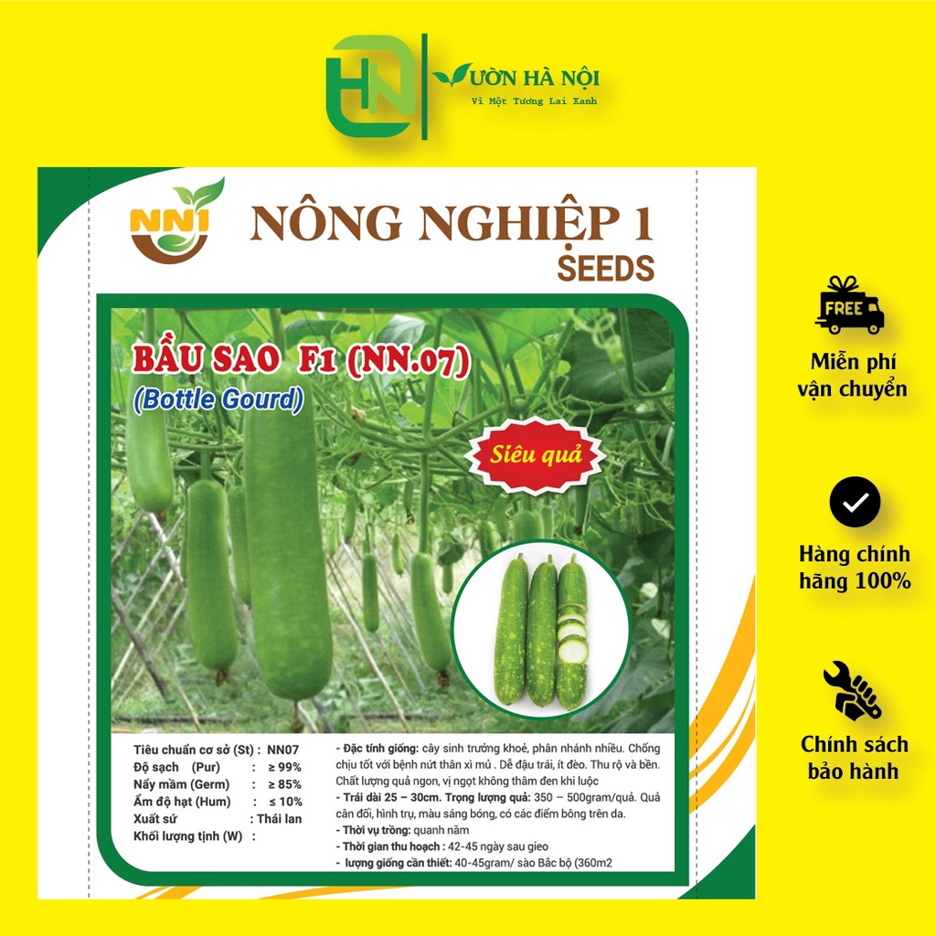 Hạt Giống Bầu Sao Trái Ngắn F1 10 Hạt
