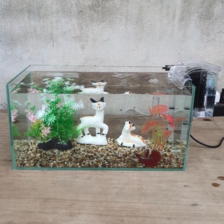 Bể cá, hồ cá cỡ 33 cm và 6 món (bể, sỏi nền, máy lọc nước, cây nhựa mini, cây nhựa cỡ vừa, phụ kiện sứ 20K)