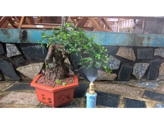 Bec phun sương đồng chân ren 21 Phun Sương Mịn, Đều Tưới Lan, Cây Cảnh, Giàn Treo, Không Gian Sân Vườn
