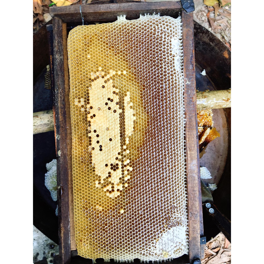mật ong nuôi