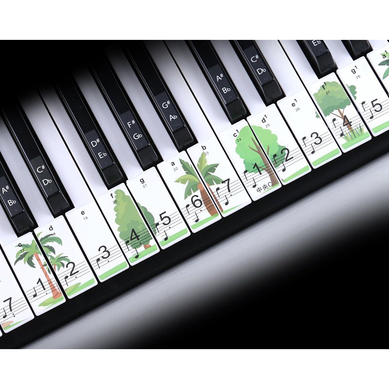 Sticker dán phím đàn Piano Grand/ Upright dành cho người mới bắt đầu- Sticker Piano