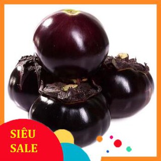 Hạt Giống Cà Tím Tròn Daimazu Nhật Bản (150 Hạt) - [MUA 3 TẶNG 1 CÙNG LOẠI] - Dinh Dưỡng, Năng Suất Cao