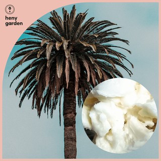 Sáp Cọ Làm Nến P-45 1kg (Palm Wax P-45) – Nguyên Liệu Làm Nến Thơm Cao Cấp - Tặng Tinh Dầu Mẫu Thử Heny Garden