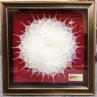 Tranh Xương Lá Bồ Đề Xếp Lớp (30x30cm) (Lá Bồ Đề Thật ). Treo Tường, Phòng Thiền, Phòng Khách - Hàng VNXK Nhật Bản