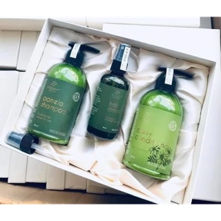 Combo gội xả xịt 🍐 vijully