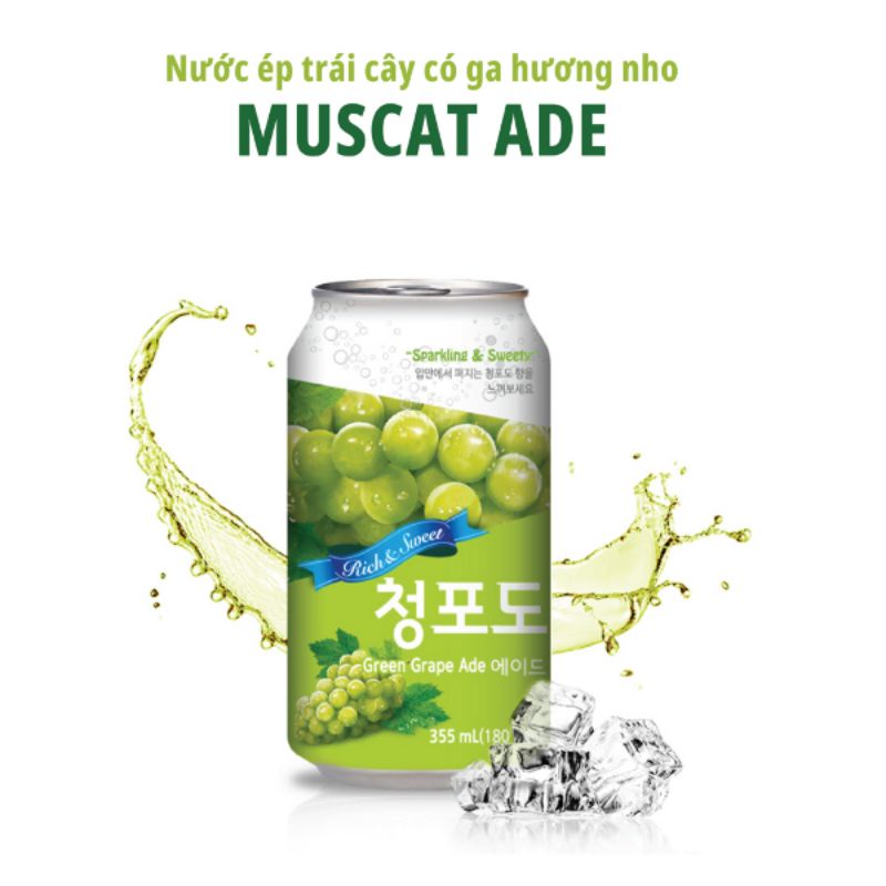 NƯỚC ÉP CÓ GA HƯƠNG TRÁI CÂY ADE 355ML