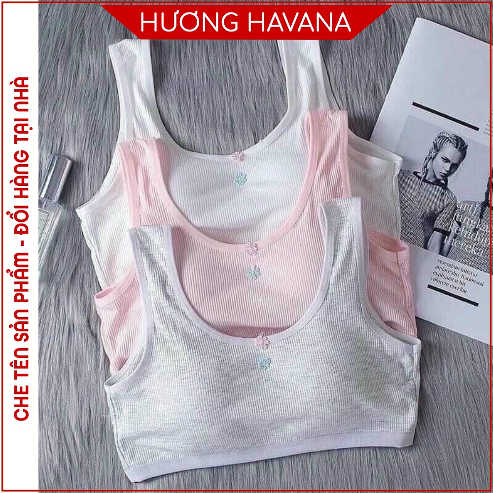 Áo bra học sinh 2 dây bản to có móc cài FLA29