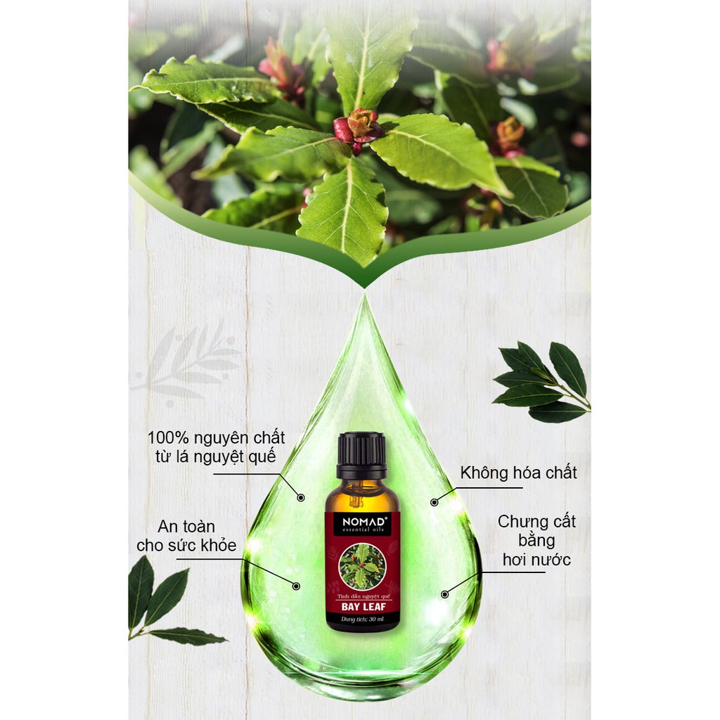 Tinh Dầu Thiên Nhiên Nguyệt Quế Nomad Bay Leaf Essential Oil