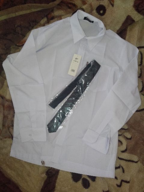 Sơ mi cà vạt nam( có big size cho người 70-90kg) | BigBuy360 - bigbuy360.vn