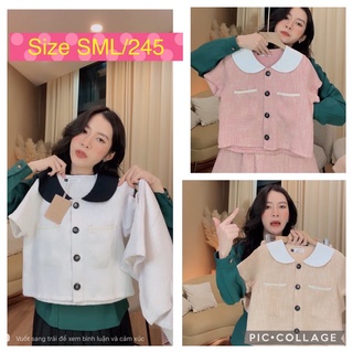 💌 set dạ hàng loan lâm 💌