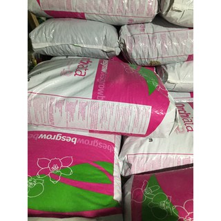 sản phẩm 01kg VỎ THÔNG ORCHITA ĐÃ QUA XỬ LÝ