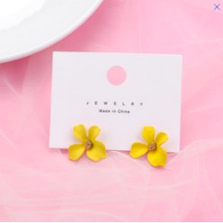 Bông tai nữ Hàn Quốc sành điệu thời trang cá tính trẻ trung khuyên tai hoa tai cho nữ