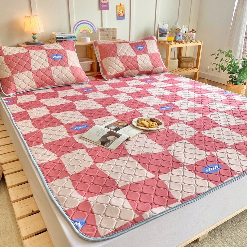 Set Chiếu Điều Hoà Cao Su - Hàng Chống Thấm Hàng Loại 1 (shinbedding)