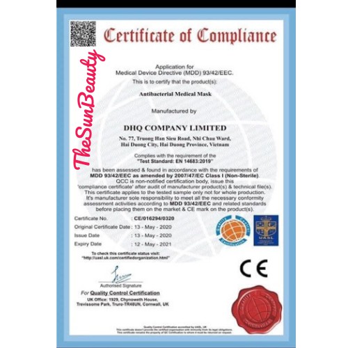 KHẨU TRANG Y TẾ V3N | BigBuy360 - bigbuy360.vn