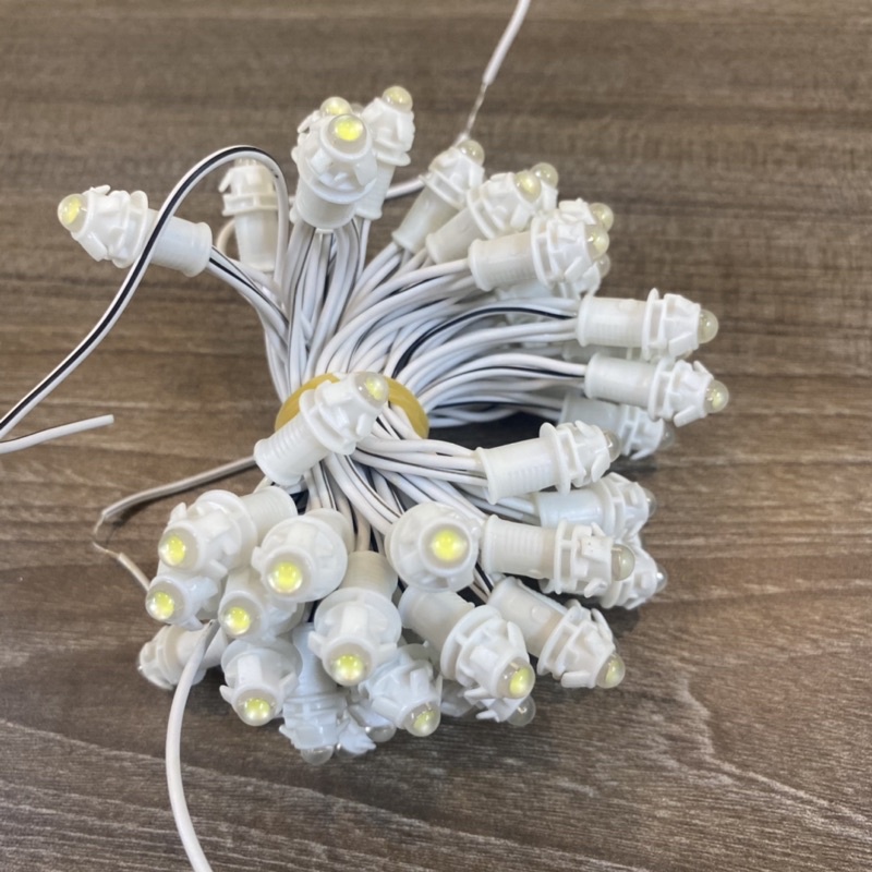 LED đúc Chống Nước F5 điện 12V