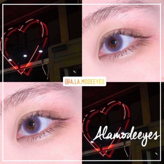 Lens xám ánh tím(tặng kèm khay gương dụng cụ)