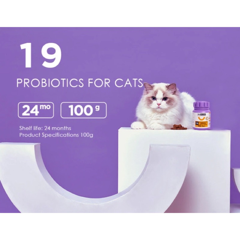 NOURSE 19 - Probiotic cải thiện tiêu hoá và hấp thụ dinh dưỡng cho bé mèo 100G - Vitamin &amp; Thuốc thú cưng Gogi MEOW MART