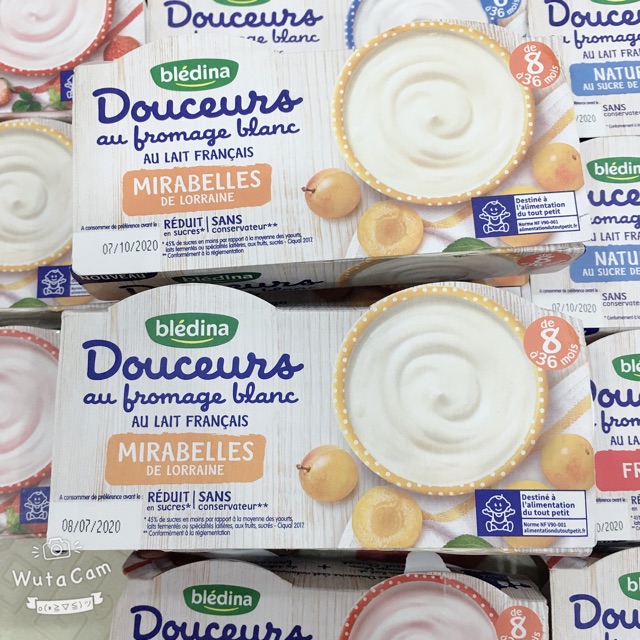 Sữa chua Bledina đủ vị cho bé từ 6M