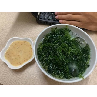 Rong nho tươi