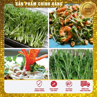 Hạt Giống Rau Mầm Đậu Hà Lan ( 50 gram)